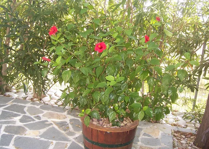 Lägenhet Sirines Prínos